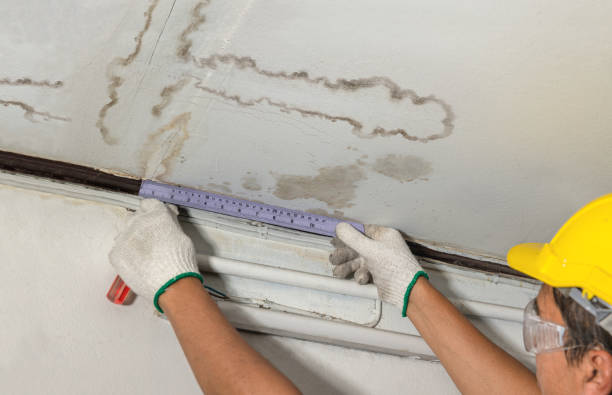 Affordable Basement Flood Cleanup solutions in Shamrock, TX
